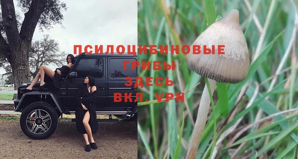 героин Белокуриха