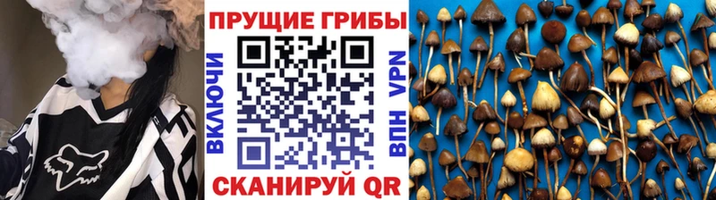 Галлюциногенные грибы мицелий  shop какой сайт  Энгельс 